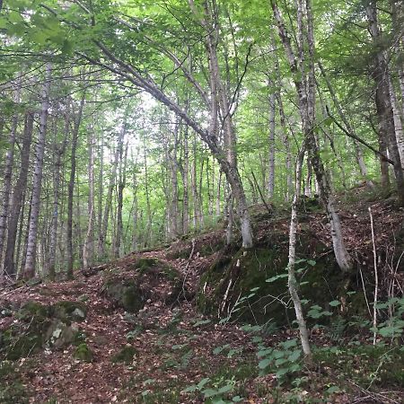 Chalet Nature Laurentides Val-des-Lacs Экстерьер фото