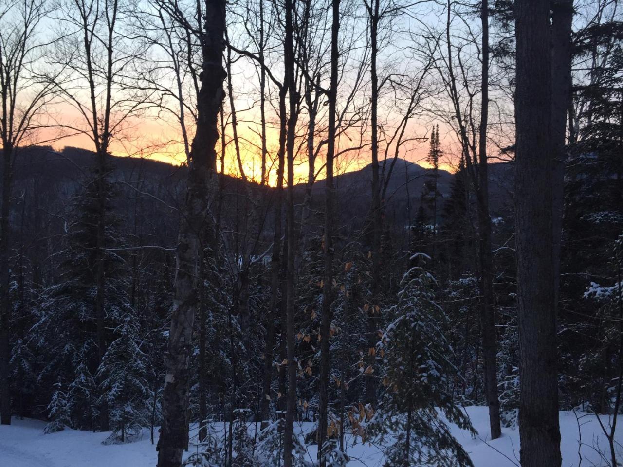 Chalet Nature Laurentides Val-des-Lacs Экстерьер фото